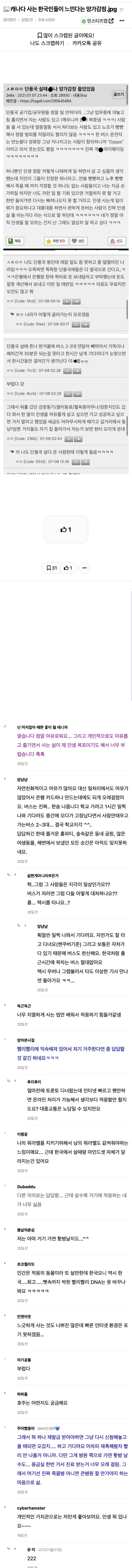 캐나다 사는 한국인들이 느낀다는 양가감정 | 인스티즈