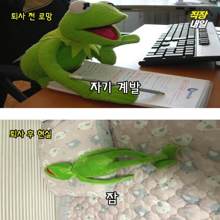 퇴사전 퇴사후.JPG | 인스티즈
