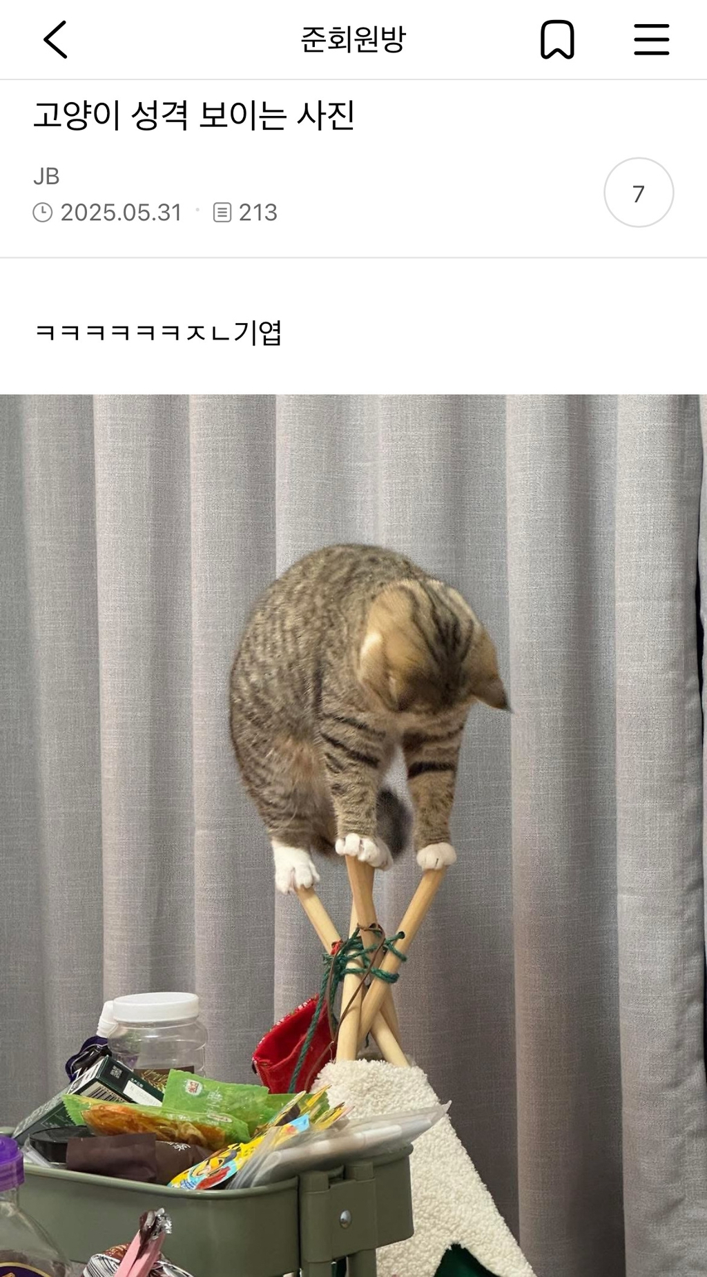고양이 성격 보이는 사진 | 인스티즈