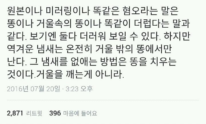 미러링에 대한 일침.twt | 인스티즈
