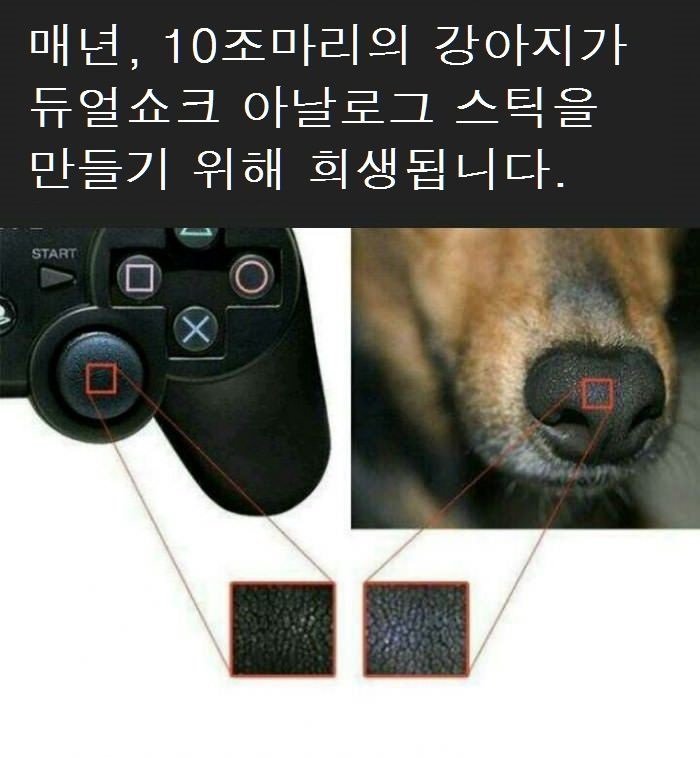 조이스틱의 비밀 | 인스티즈