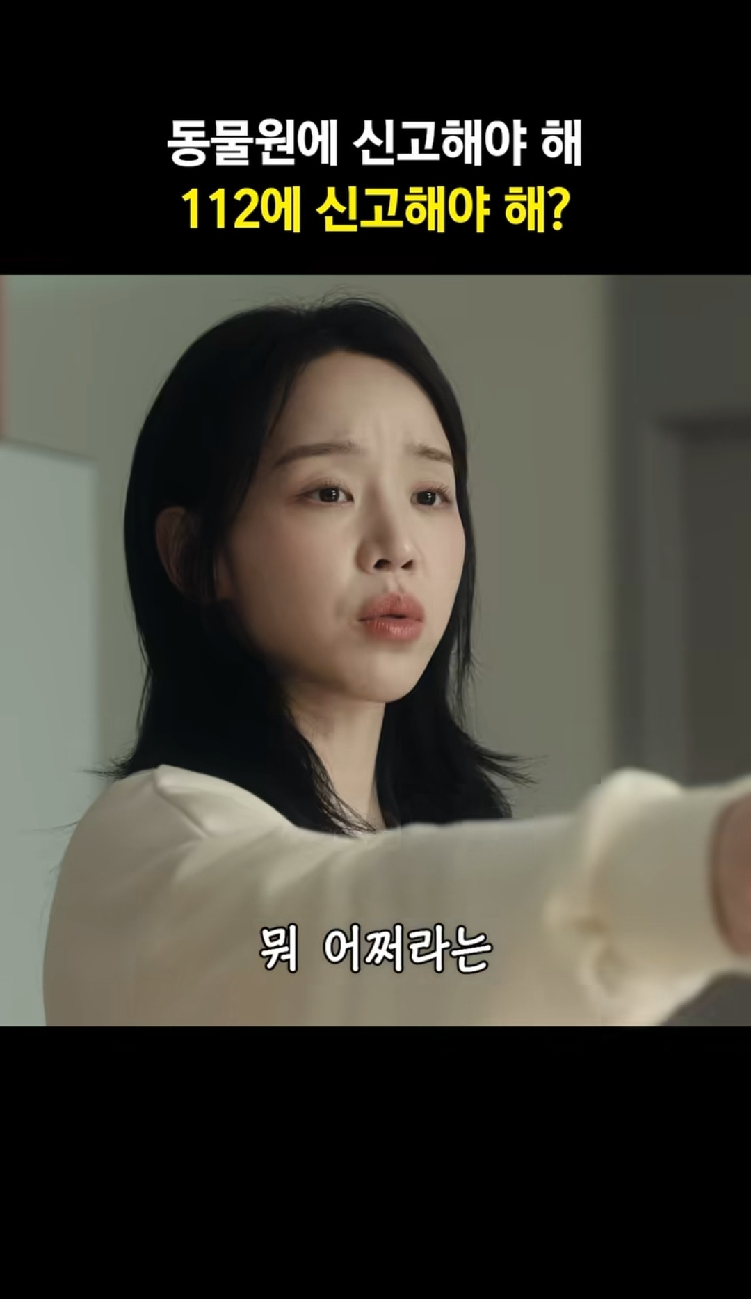 신혜선 집 부수고 들어온 캥거루 | 인스티즈