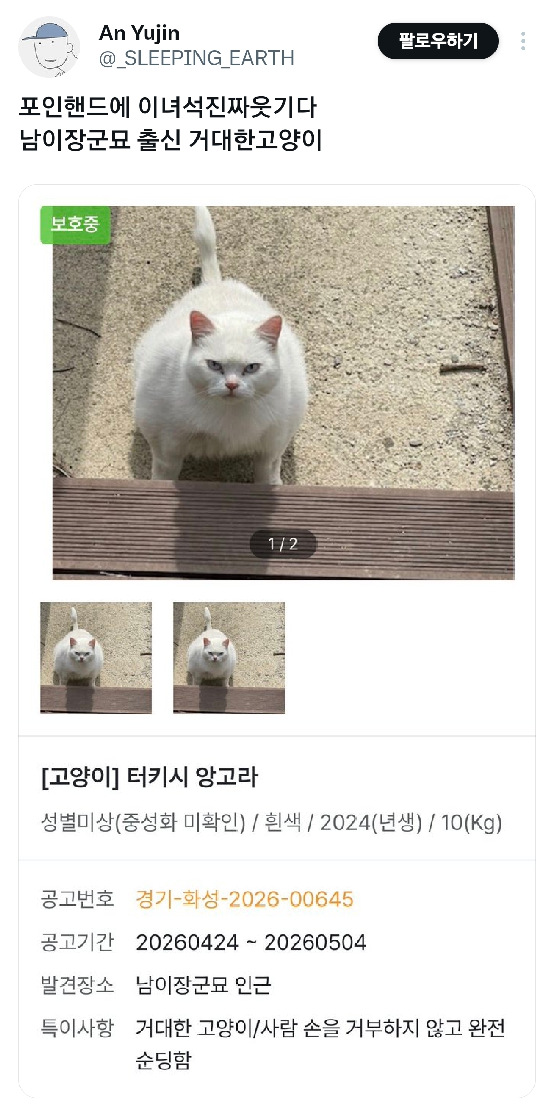 포인핸드에 이녀석진짜웃기다.x | 인스티즈