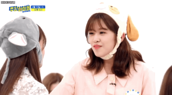 아이즈원 안댕댕 | 인스티즈