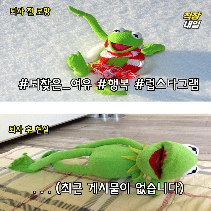 퇴사전 퇴사후.JPG | 인스티즈