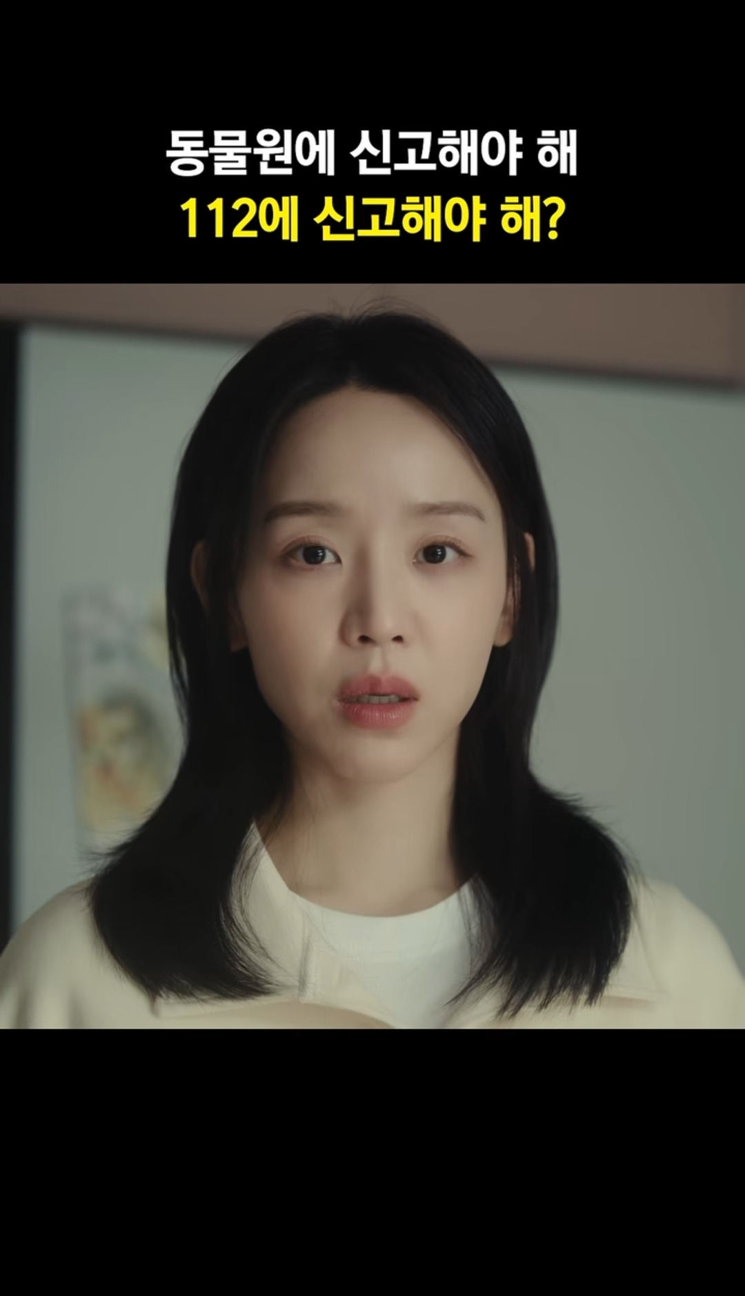 신혜선 집 부수고 들어온 캥거루 | 인스티즈
