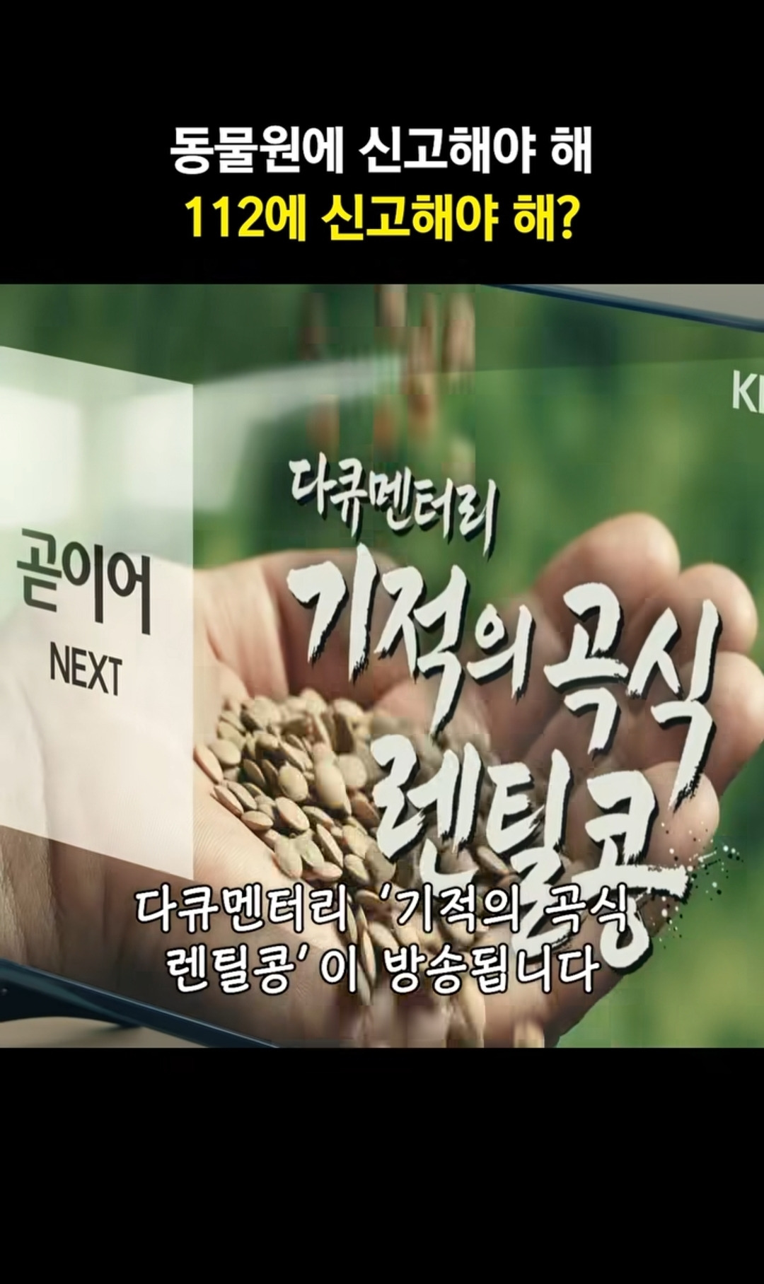 신혜선 집 부수고 들어온 캥거루 | 인스티즈