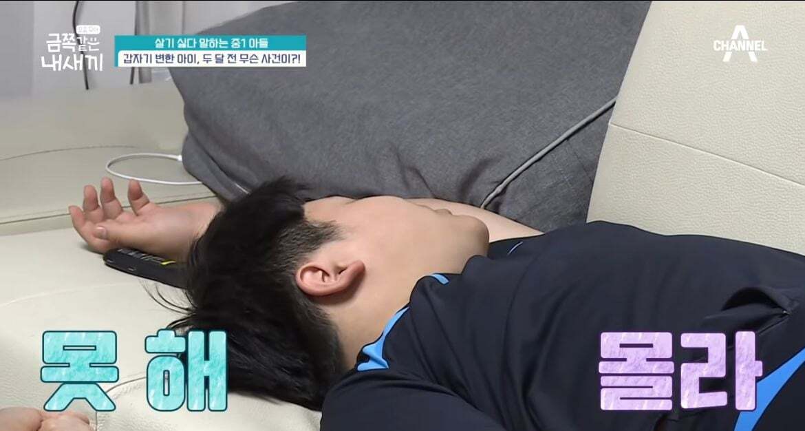 600만원 소액결제한 금쪽이어긋났던 원인과 솔루션(1) | 인스티즈
