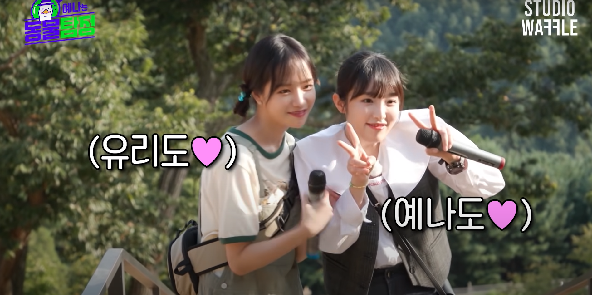 아이즈원 활동종료후에 솔로로남은 한국멤버 6명의 특징 | 인스티즈