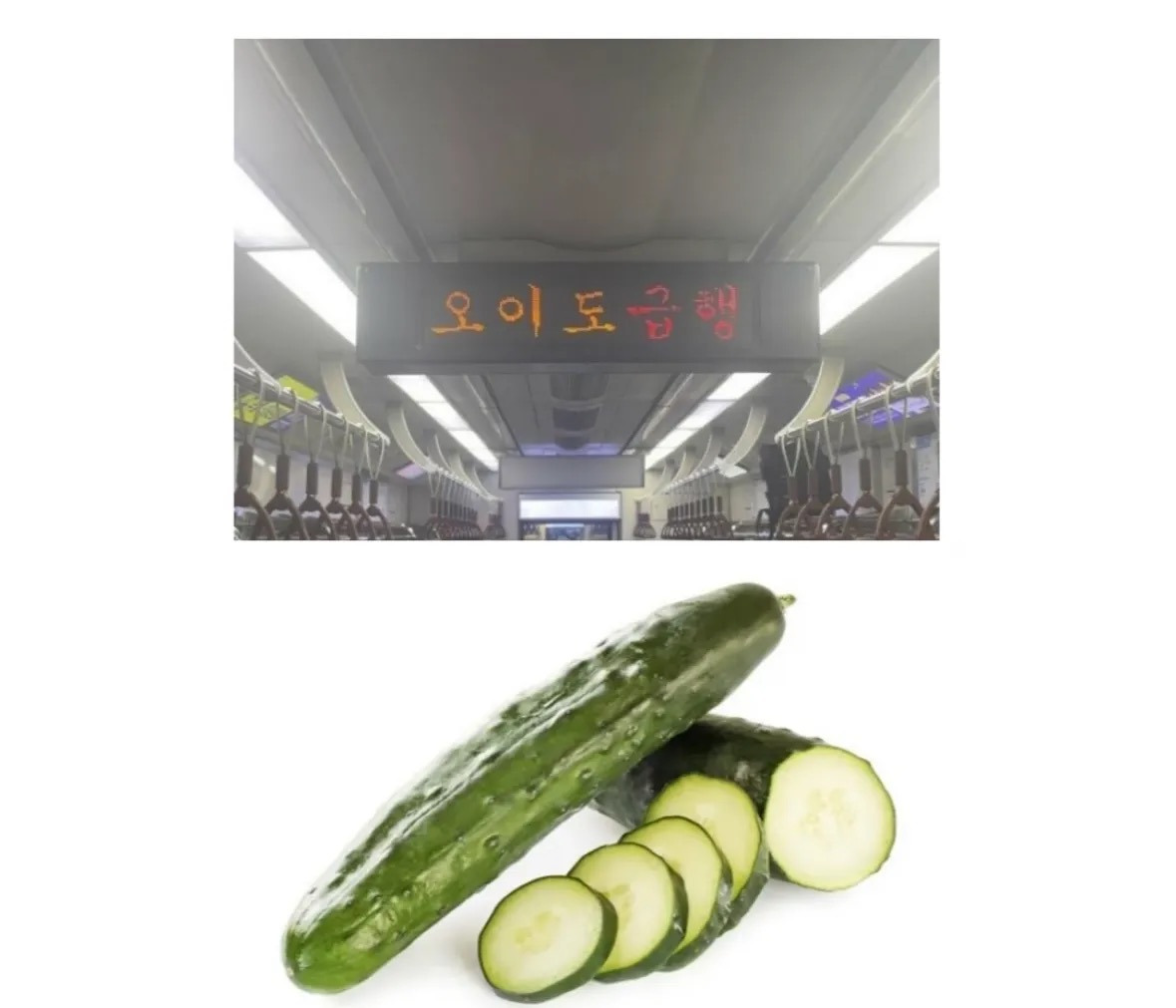 ??:야! 가지 너만 급해? | 인스티즈