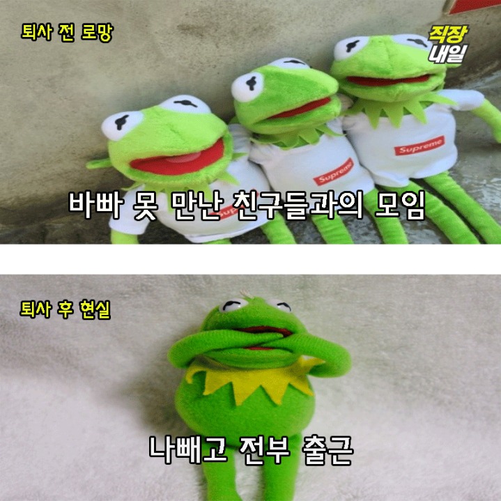 퇴사전 퇴사후.JPG | 인스티즈