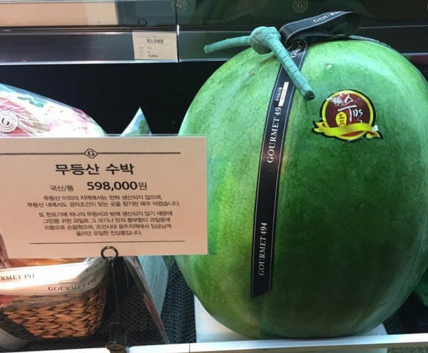 세계에서 비싼걸로 유명한 과일들....jpg | 인스티즈