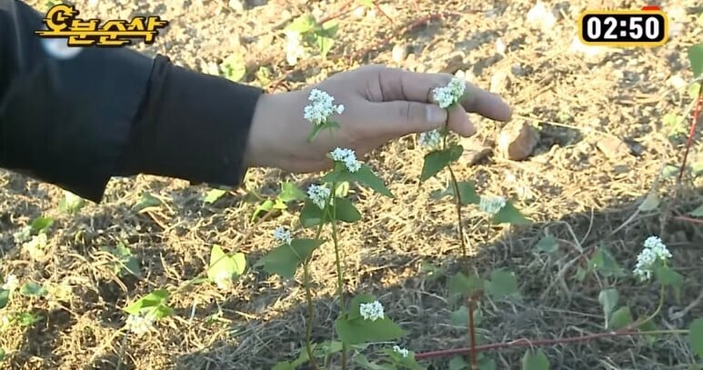 [나혼자산다] 나혼자 산다 컨셉의 진수를 보여줬던 김도균 편 (하트시그널 김도균 아님) | 인스티즈