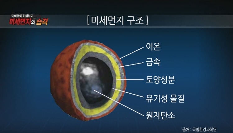 미세먼지가 위험한 진짜 이유 | 인스티즈