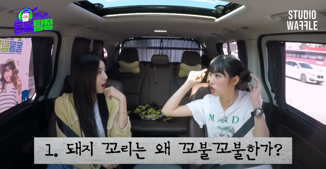 아이즈원 활동종료후에 솔로로남은 한국멤버 6명의 특징 | 인스티즈