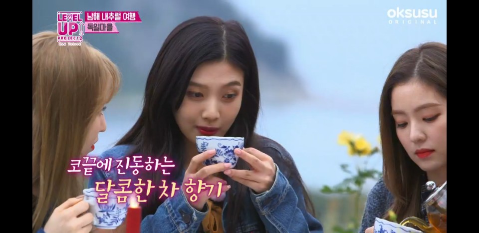 독일 건강차 마시는 레드벨벳 ㅋㅋㅋㅋㅋㅋㅋㅋㅋㅋㅋㅋㅋ | 인스티즈