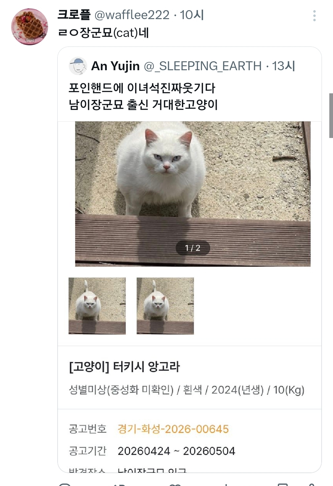 포인핸드에 이녀석진짜웃기다.x | 인스티즈