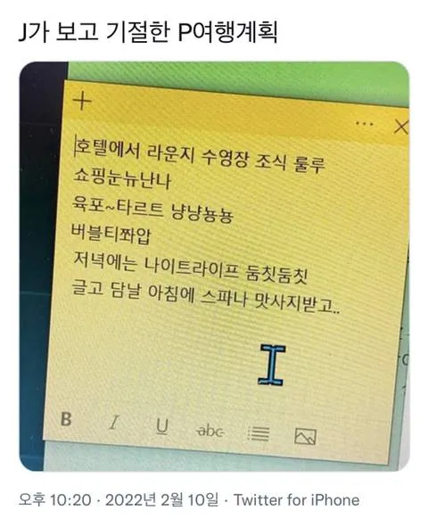 J가 보고 기절한 P의 여행계획.jpg | 인스티즈