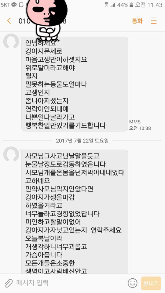 진돗개에게 물려 강아지와 어머님이 심각한 상태입니다. 뻔뻔한 가해견주의 태도를 한번만 봐주세요. (요약있음) (상처사진 주의) | 인스티즈