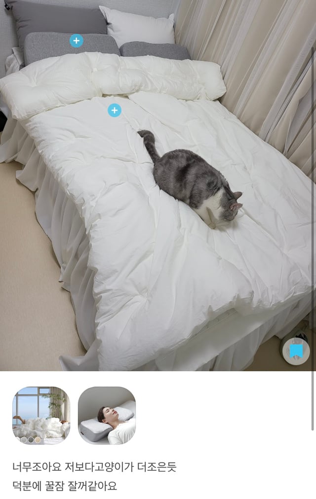 내가 오늘의집 어플 사용하는 이유 | 인스티즈