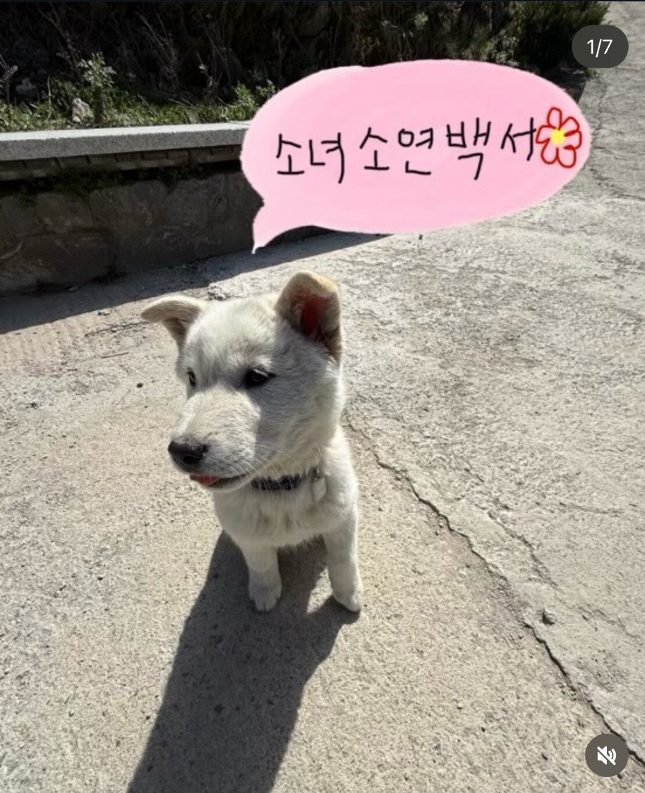 불교신자로 유명한 여자아이돌 템플스테이 후기 | 인스티즈