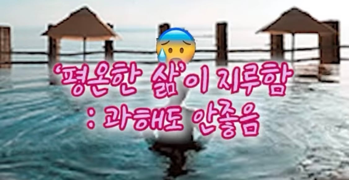 호주 사는 유튜버가 말하는 호주에 의외로 우울증이 많은 이유.jpg | 인스티즈