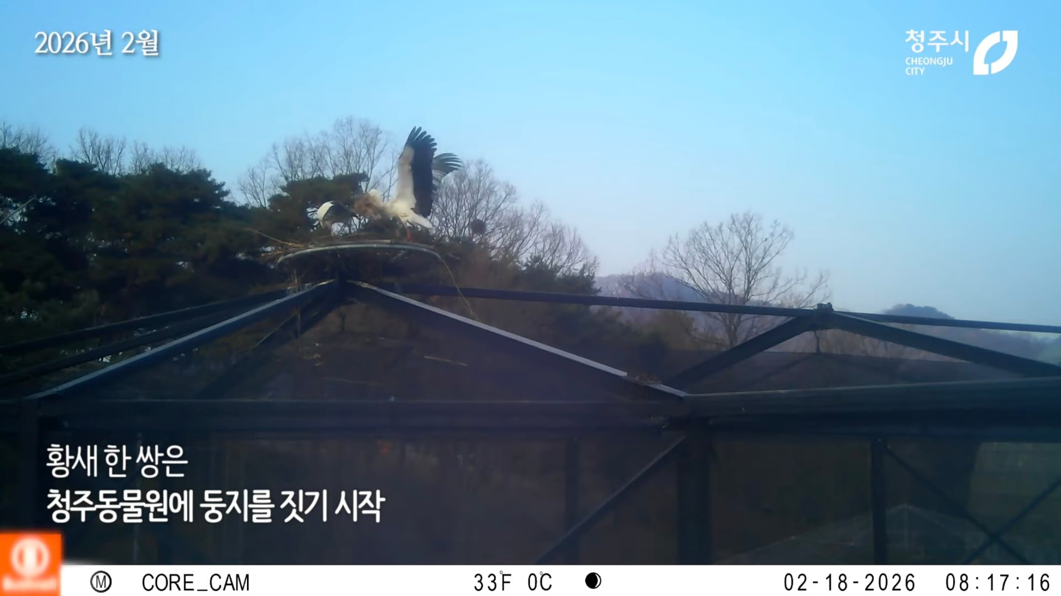 [청주동물원] ?? : 작년에 임장왔는데 맘에들어서 이사왔어요 | 인스티즈