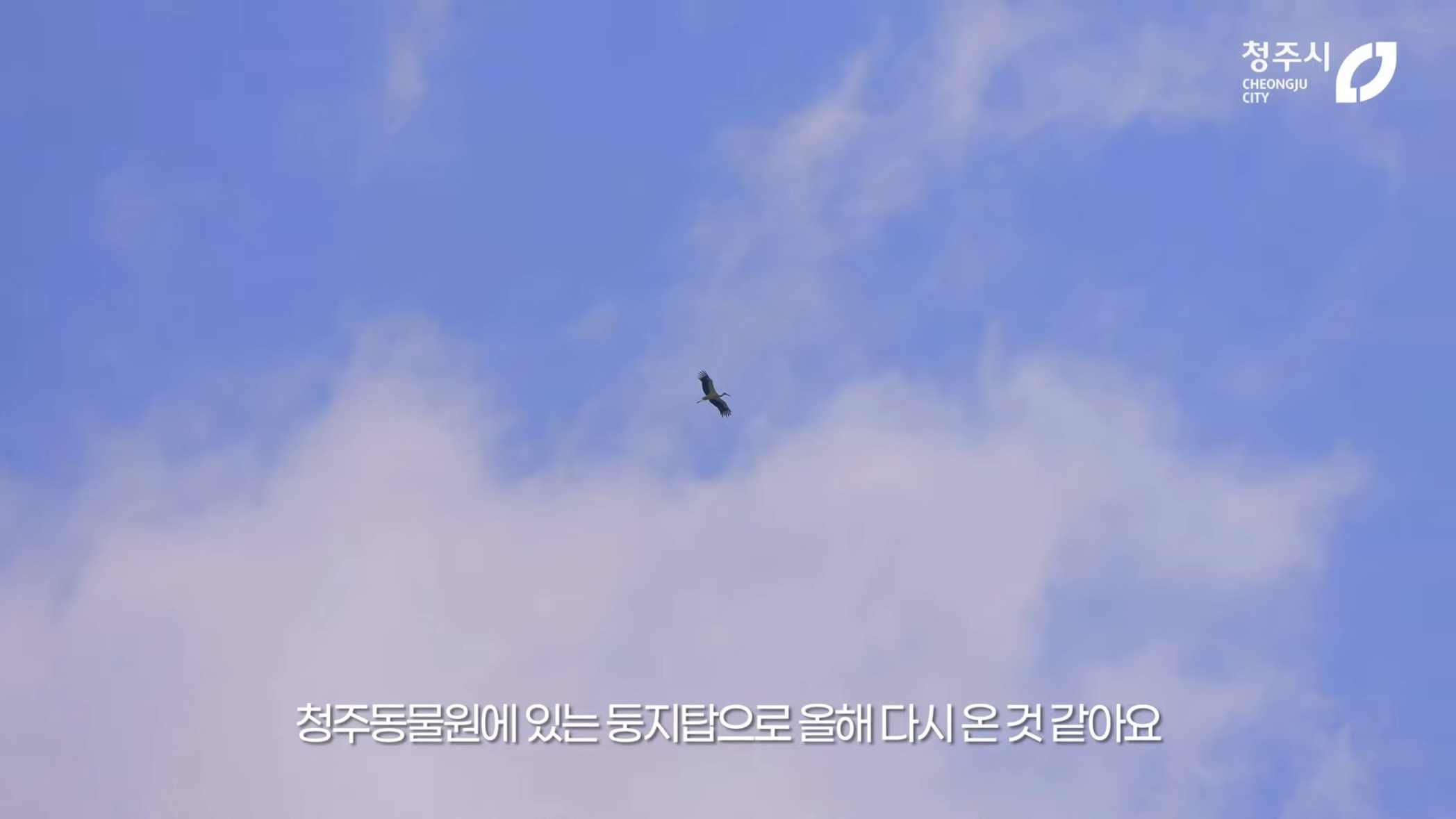 [청주동물원] ?? : 작년에 임장왔는데 맘에들어서 이사왔어요 | 인스티즈