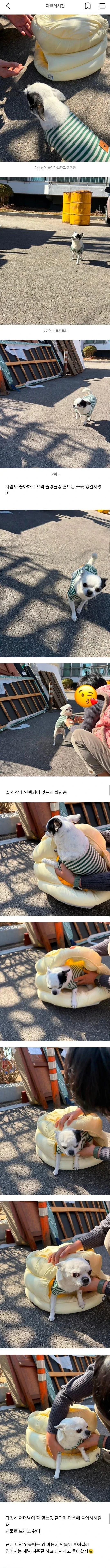 진짜 평화로운 당근마켓 근황 | 인스티즈