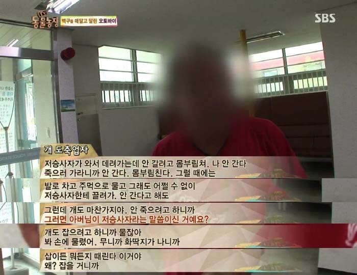 [TV동물농장] 동물농장에서 방송된 인천의 한 개 도축장의 현실.jpg | 인스티즈