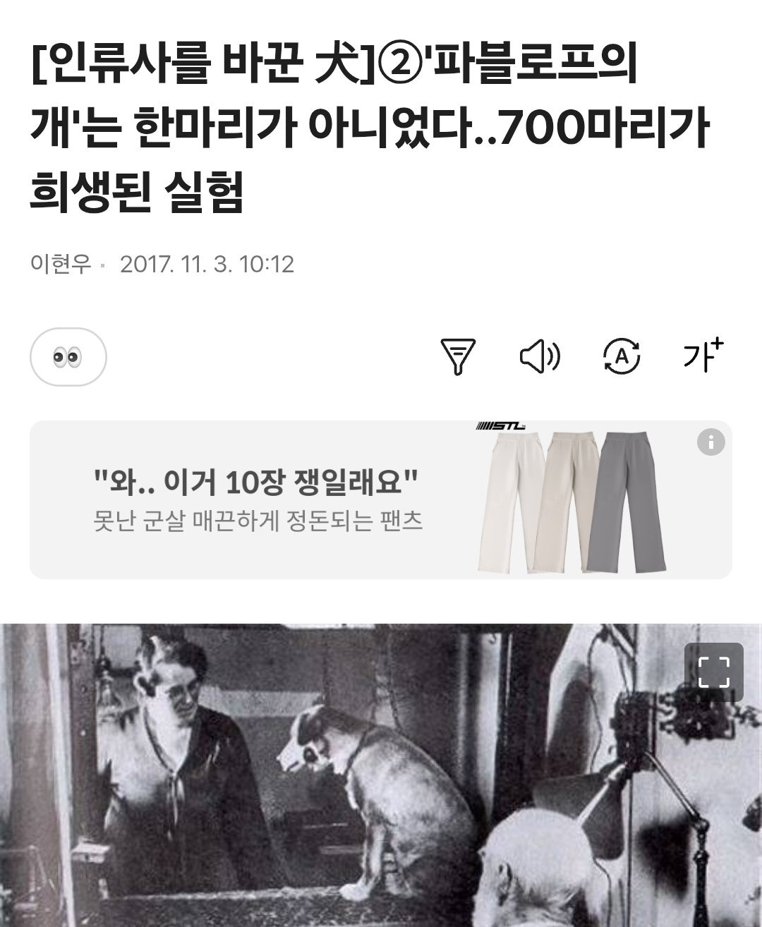 파블로프의 개 실험에서 희생된 개들 | 인스티즈