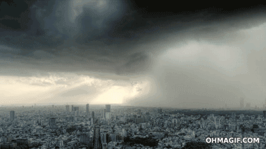 신기한 장면들.jpgif | 인스티즈