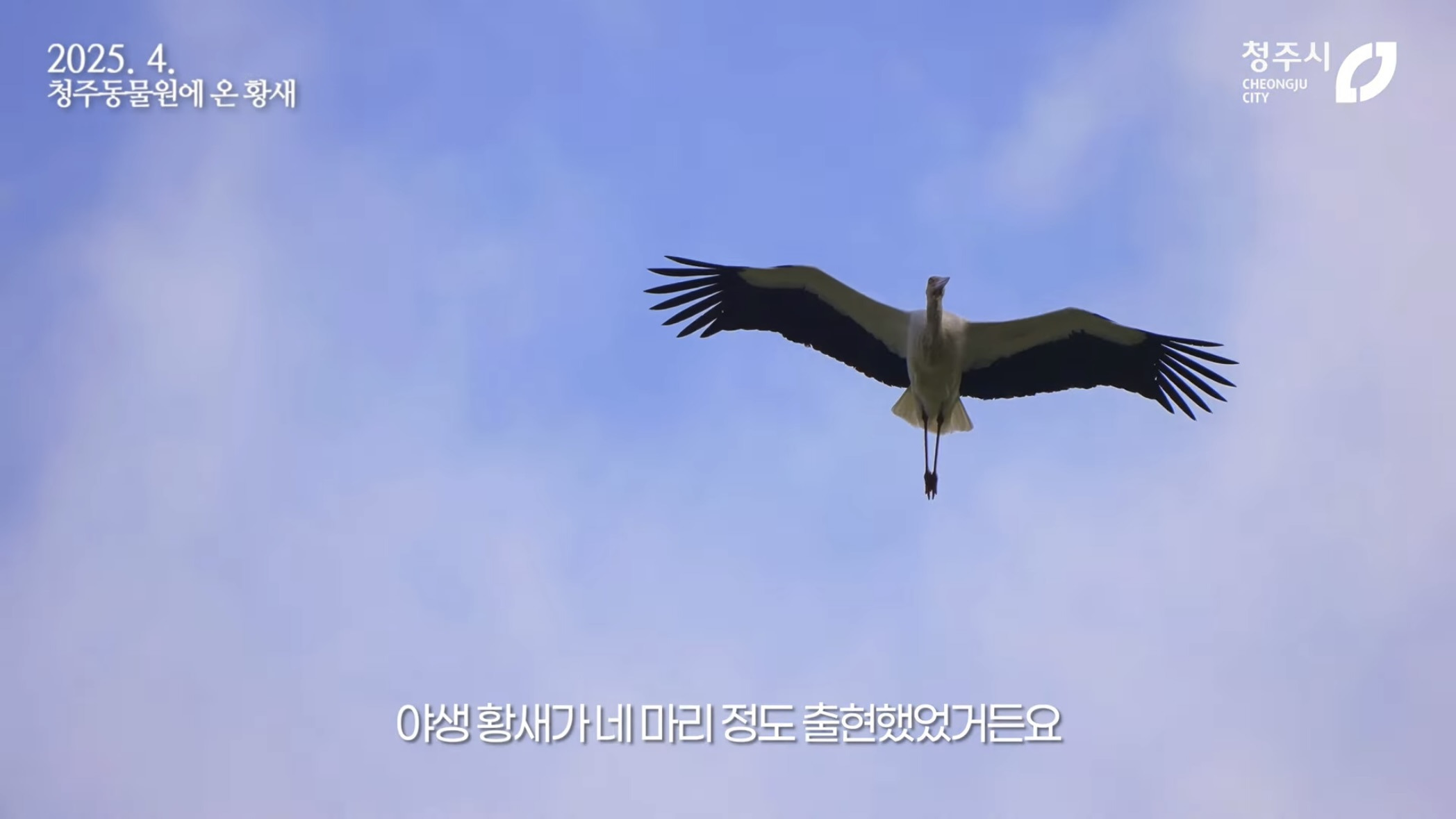 [청주동물원] ?? : 작년에 임장왔는데 맘에들어서 이사왔어요 | 인스티즈