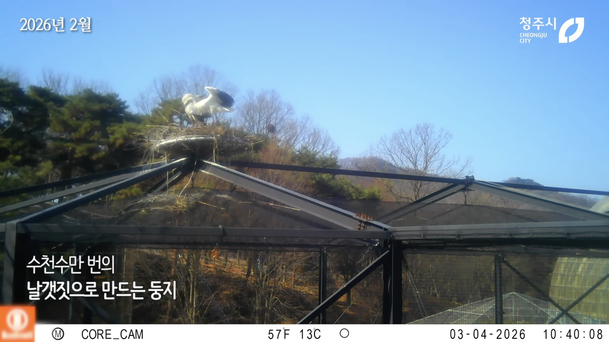 [청주동물원] ?? : 작년에 임장왔는데 맘에들어서 이사왔어요 | 인스티즈
