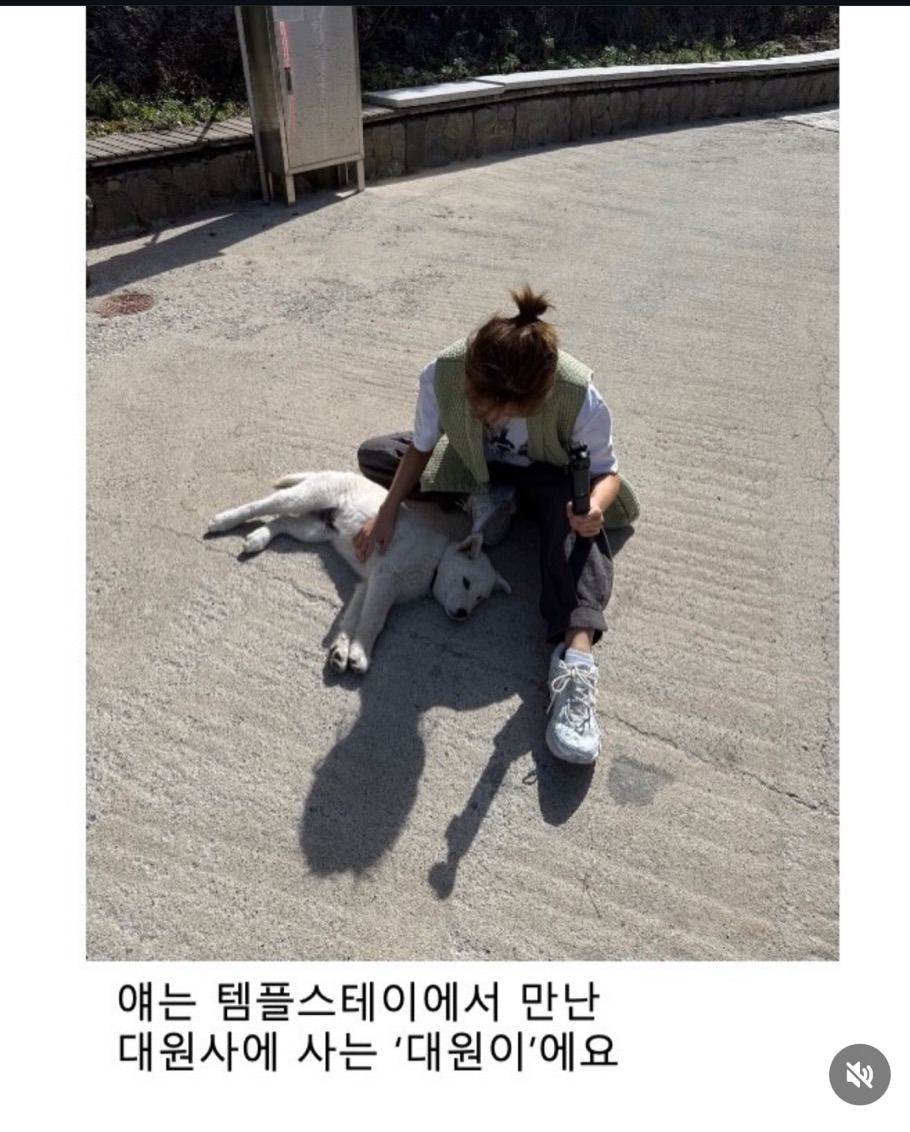 불교신자로 유명한 여자아이돌 템플스테이 후기 | 인스티즈