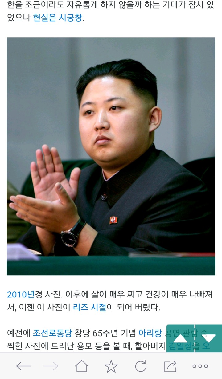 나무위키에서의 김정은.jpg | 인스티즈