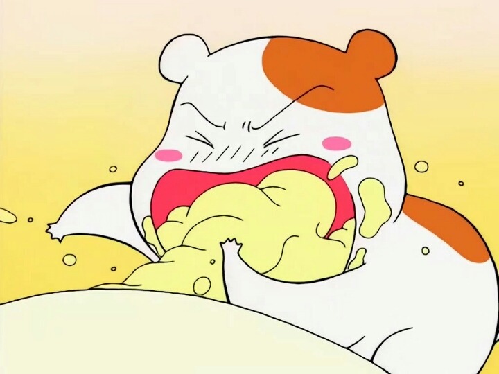  너무 귀여운 에비츄 짤 모음.jpg | 인스티즈