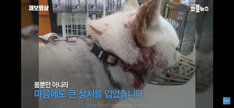 우리나라 사람들이 잘 모르는 상식 중 하나 | 인스티즈
