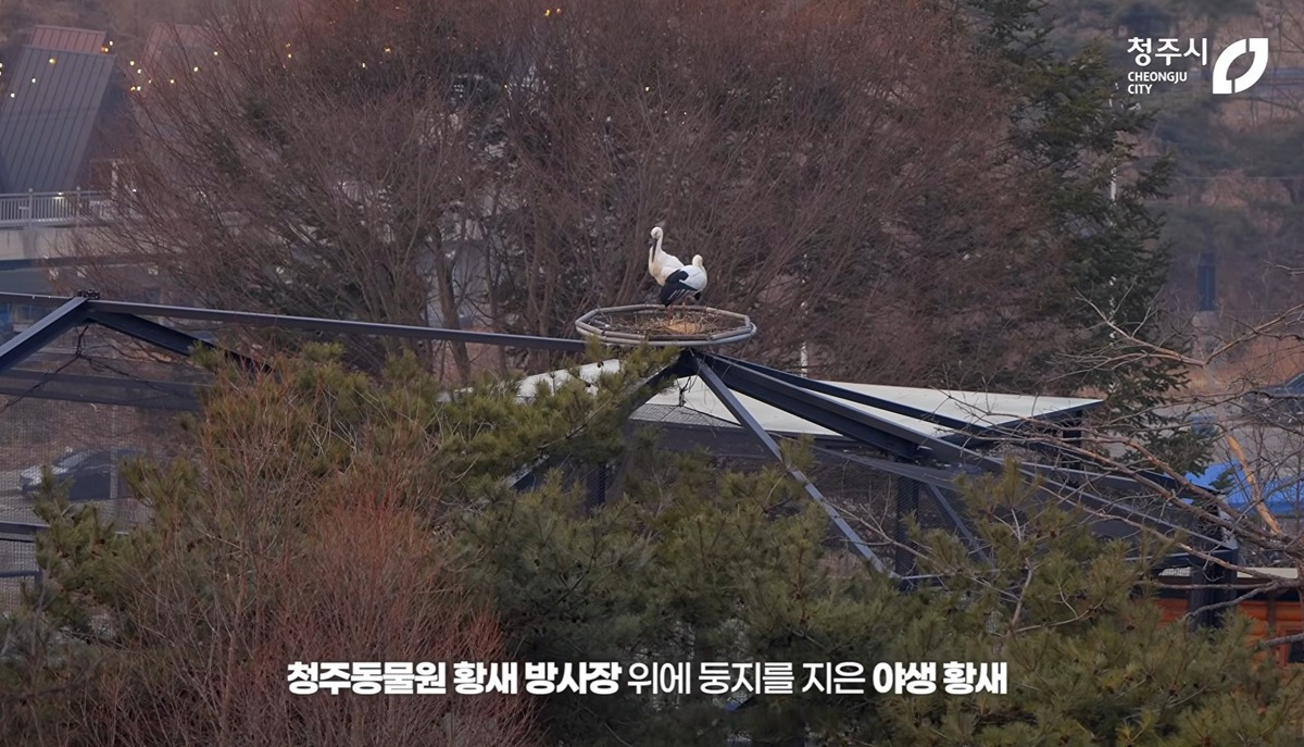 [청주동물원] ?? : 작년에 임장왔는데 맘에들어서 이사왔어요 | 인스티즈