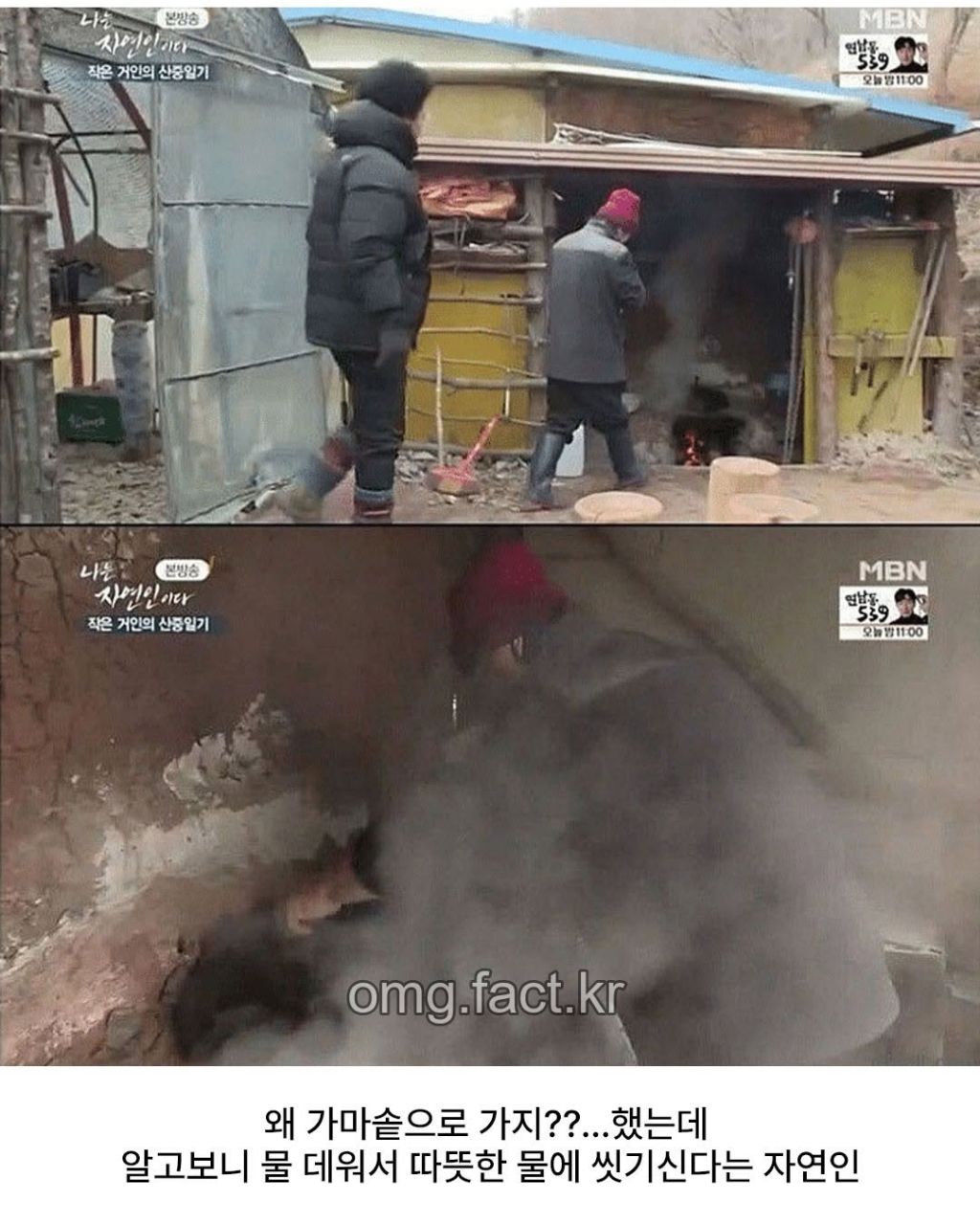 나는 자연인이다에서 나온 냥빨 | 인스티즈
