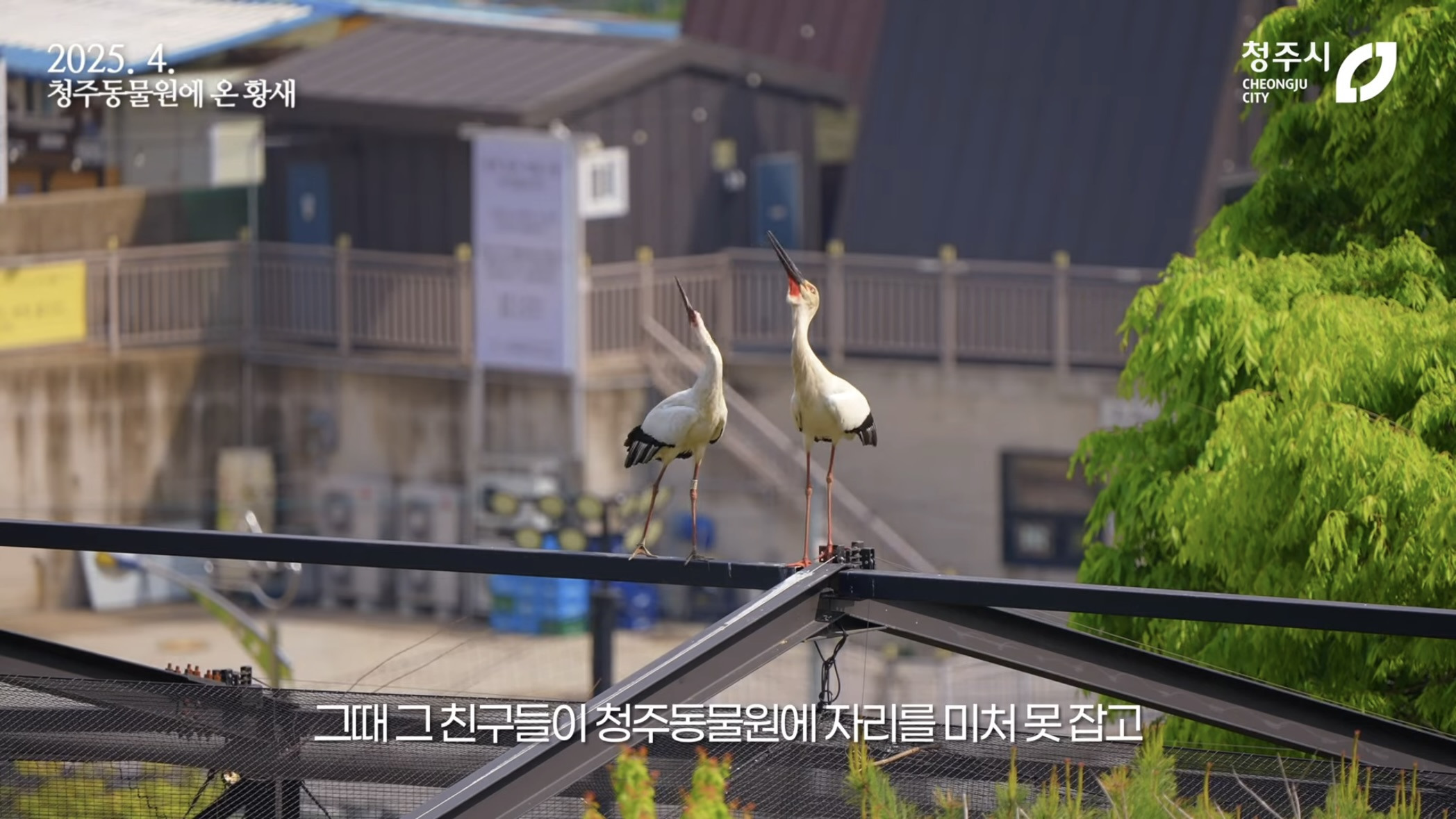 [청주동물원] ?? : 작년에 임장왔는데 맘에들어서 이사왔어요 | 인스티즈