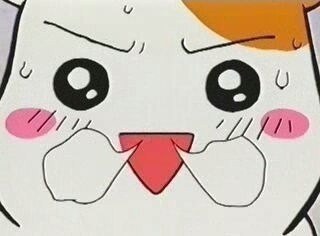  너무 귀여운 에비츄 짤 모음.jpg | 인스티즈