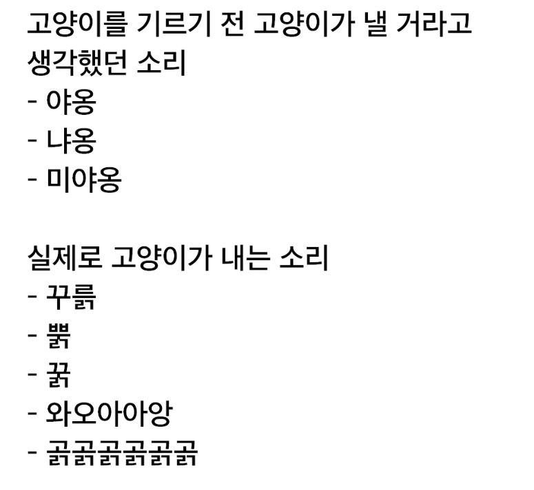 고양이는 야옹하고 울지 않는다 | 인스티즈