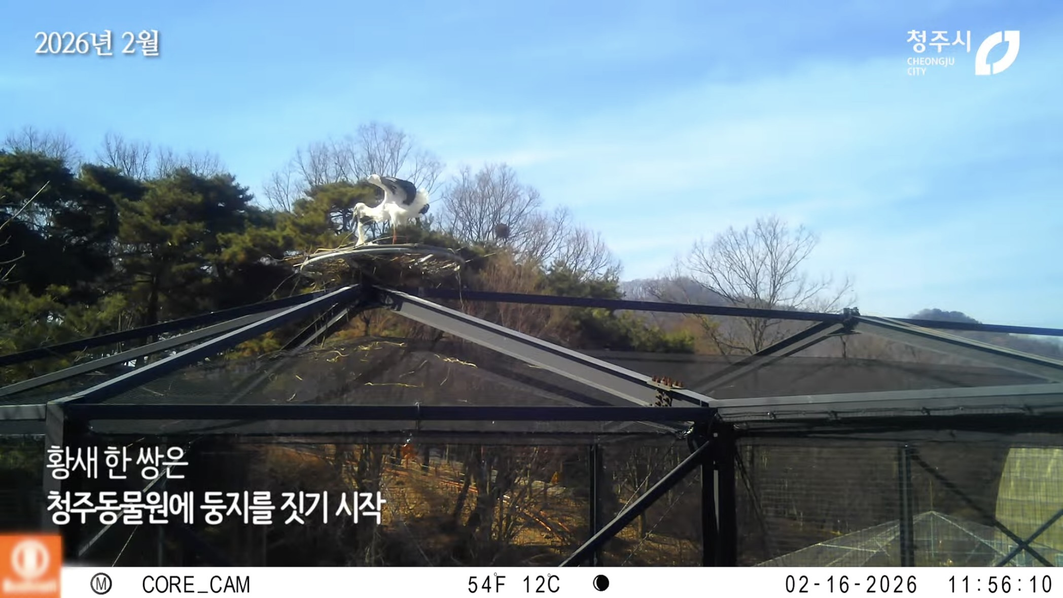 [청주동물원] ?? : 작년에 임장왔는데 맘에들어서 이사왔어요 | 인스티즈