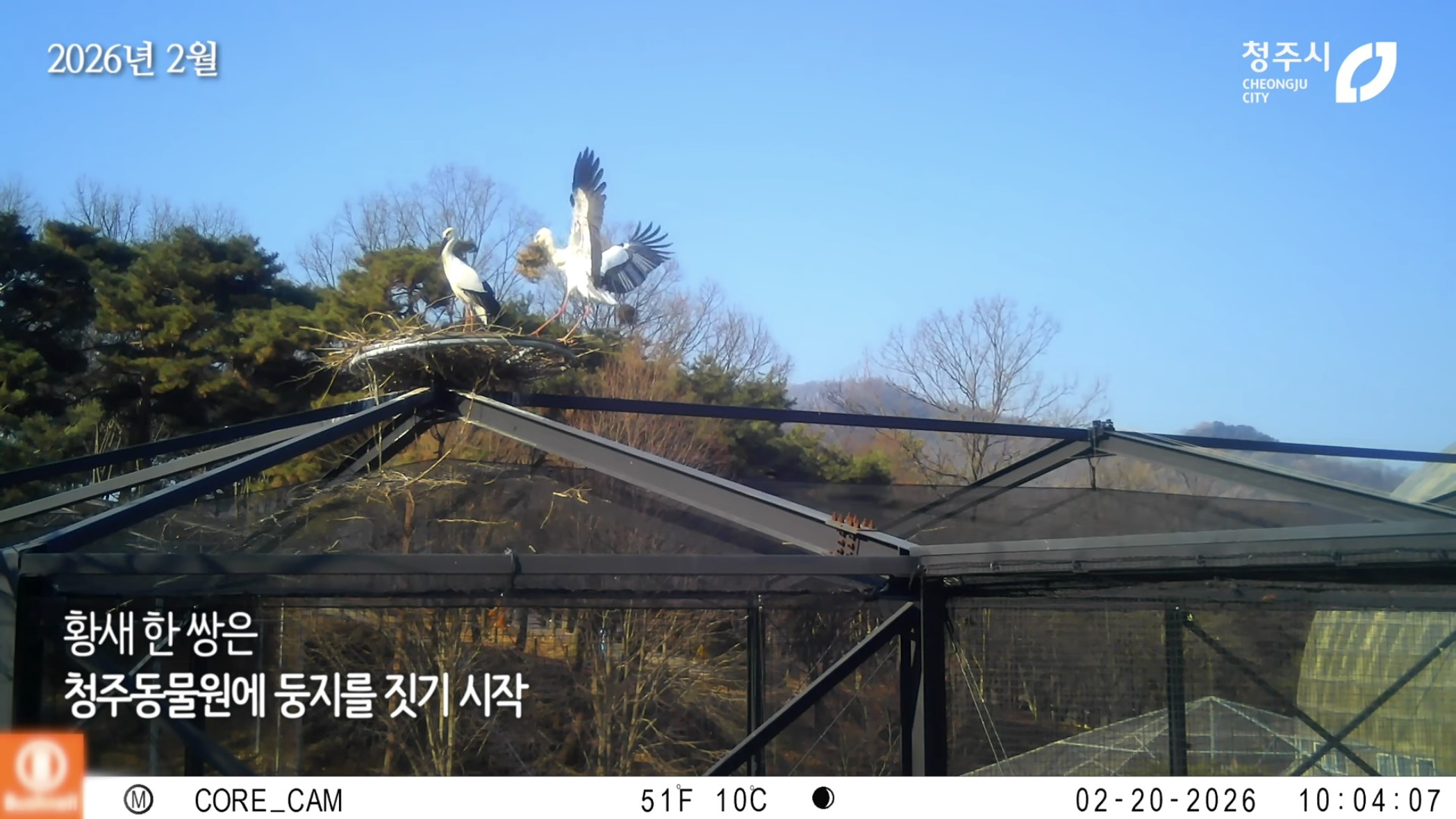 [청주동물원] ?? : 작년에 임장왔는데 맘에들어서 이사왔어요 | 인스티즈