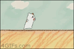  너무 귀여운 에비츄 짤 모음.jpg | 인스티즈