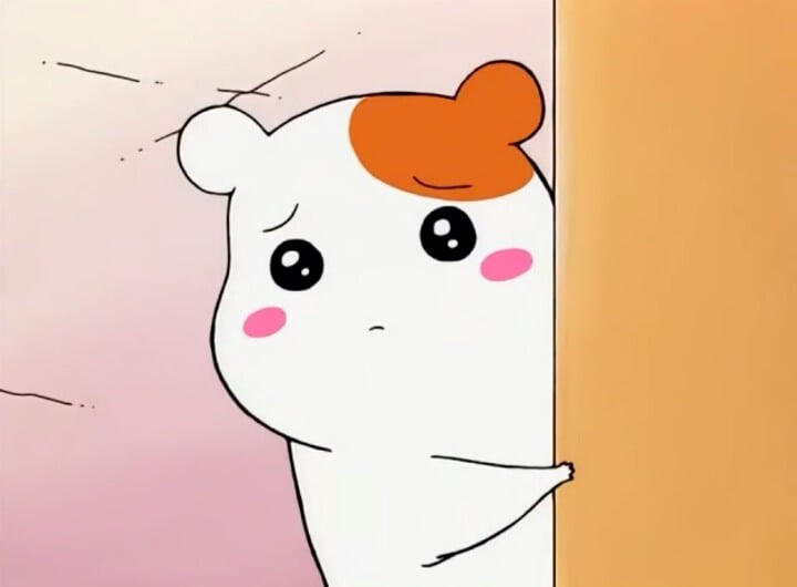  너무 귀여운 에비츄 짤 모음.jpg | 인스티즈