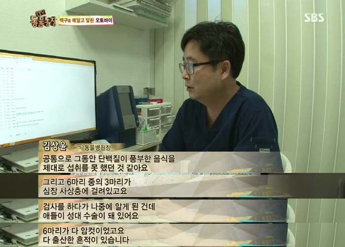 [TV동물농장] 동물농장에서 방송된 인천의 한 개 도축장의 현실.jpg | 인스티즈