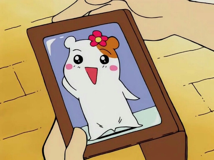  너무 귀여운 에비츄 짤 모음.jpg | 인스티즈