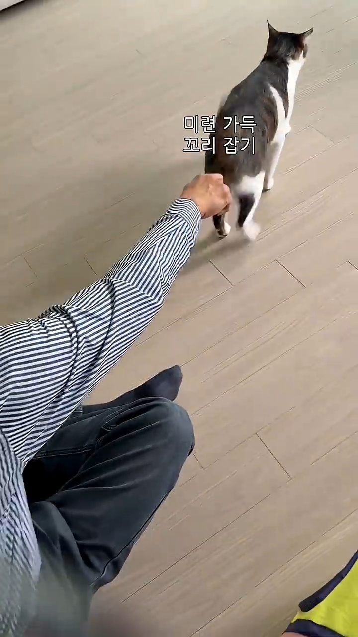 고양이 궁팡하면서 트월킹하는 아저씨 | 인스티즈